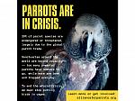 Bridlington Parrot Sanctuary